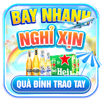 bay nhanh nghỉ xin